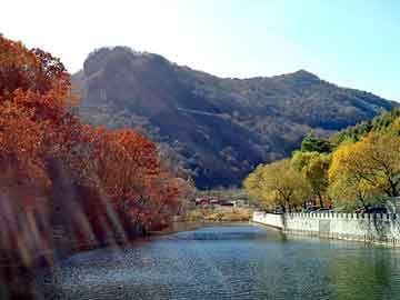 新澳天天开奖资料大全旅游团，多夫